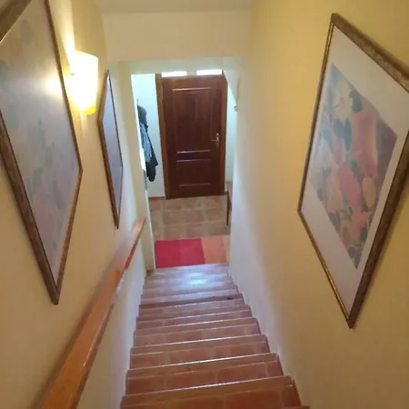 De Standing Vue 阿尔啼